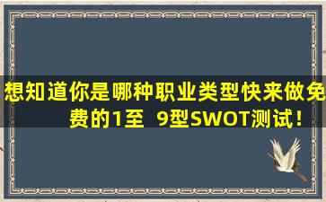想知道你是哪种职业类型快来做免费的1至  9型SWOT测试！